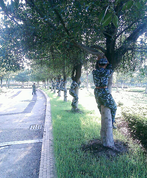 2012105215834647.jpg