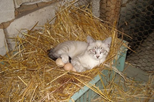 20101230222345104.jpg