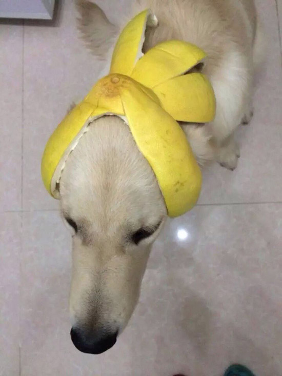 2014103022438604.jpg