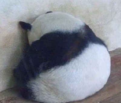 �Ҳ��������ˣ�