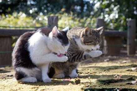 ���һ�£������ڸ������Ͱ�