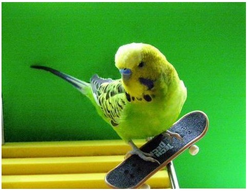 ģıЦ