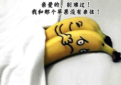 װģҺûʲô