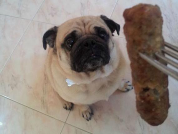 �����ң��ҳԾ�����