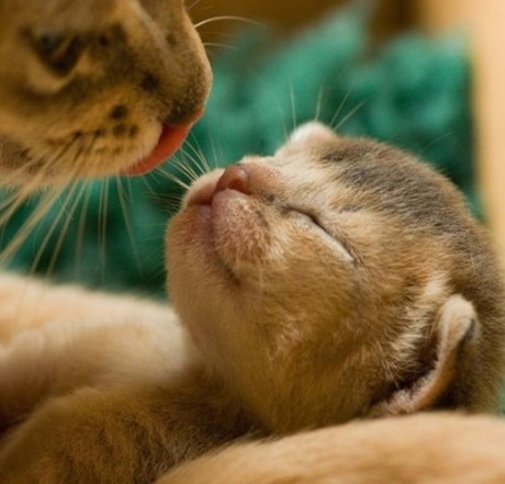 �ȴ��Ҹ�ʱ�̵�����