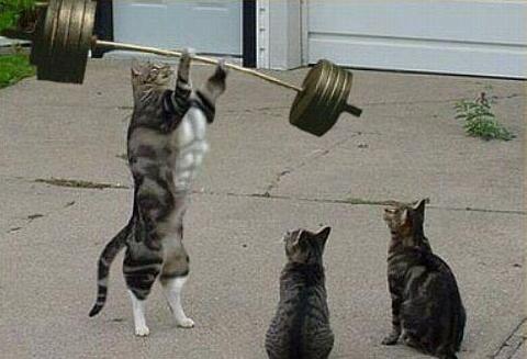 �����ҵļ����֪�������Ƕ�ô����Ҫ