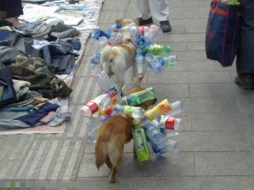 ʰ�Ĵ��������λ�ð���