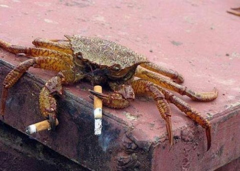 ֻ�г��̲��ܴ򷢸�ļ�į