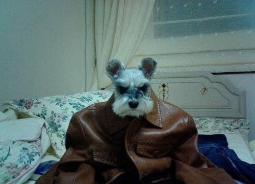 ˣҲû취