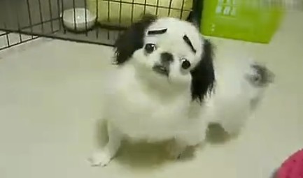 ÇĹ
