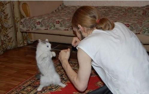 ȻȻ