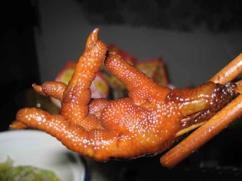 ָָ⼦צ