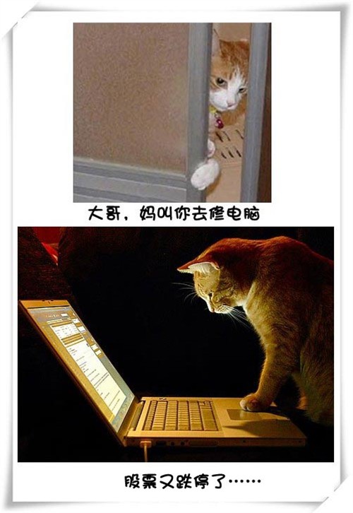 Цè޵