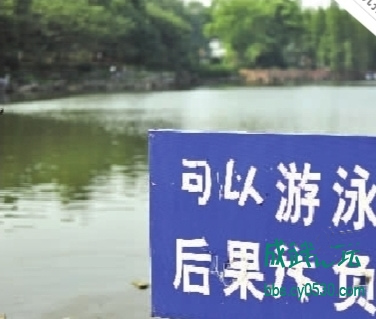 ˵ı