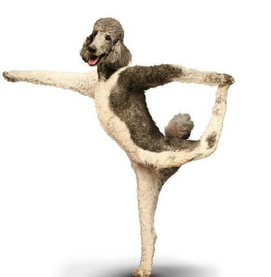 Ҳ