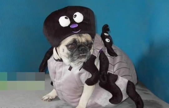 Ҳ