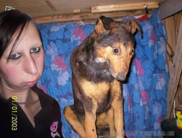 ϳĶ