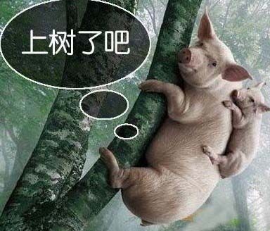 ��ʵ֤�������ǿ���ס��