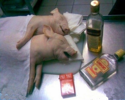 һҹ�������