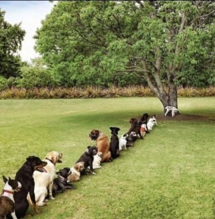 �������ʵĹ�����