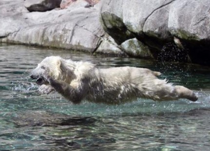 ��Ц��������ͼ