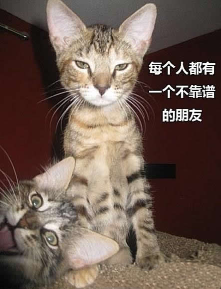 ޵è䣬ײ㣡
